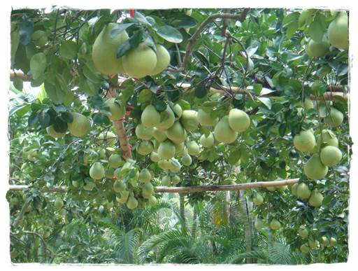 calendar_09