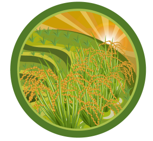 tours_icon_02
