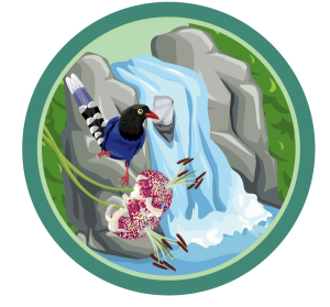 tours_icon_04
