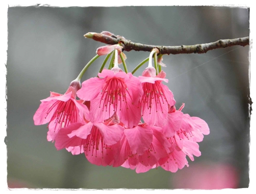 calendar_22